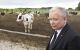 Jarosław Kaczyński odwiedził gospodarstwo produkcji mlecznej we wsi Jakać Borki